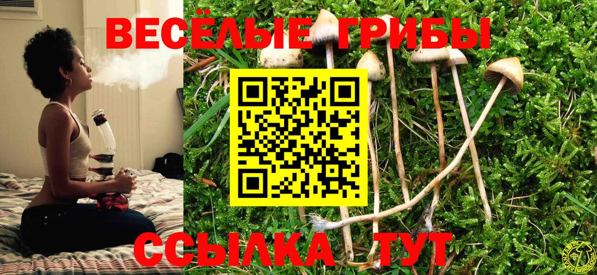 Зеленокумск  Псилоцибиновые грибы Psilocybine cubensis  Вход с VPN  Псилоцибиновые грибы Psilocybine cubensis 
