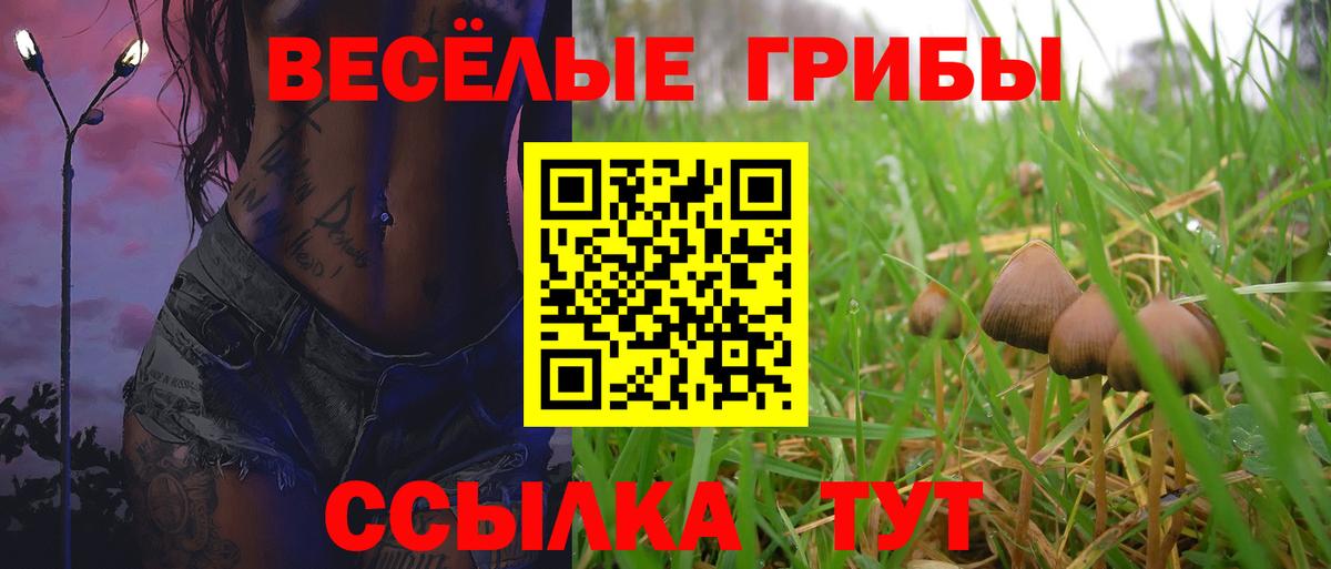 Псилоцибиновые грибы мухоморы Зеленокумск